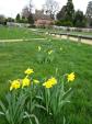 Image: Recreation Ground